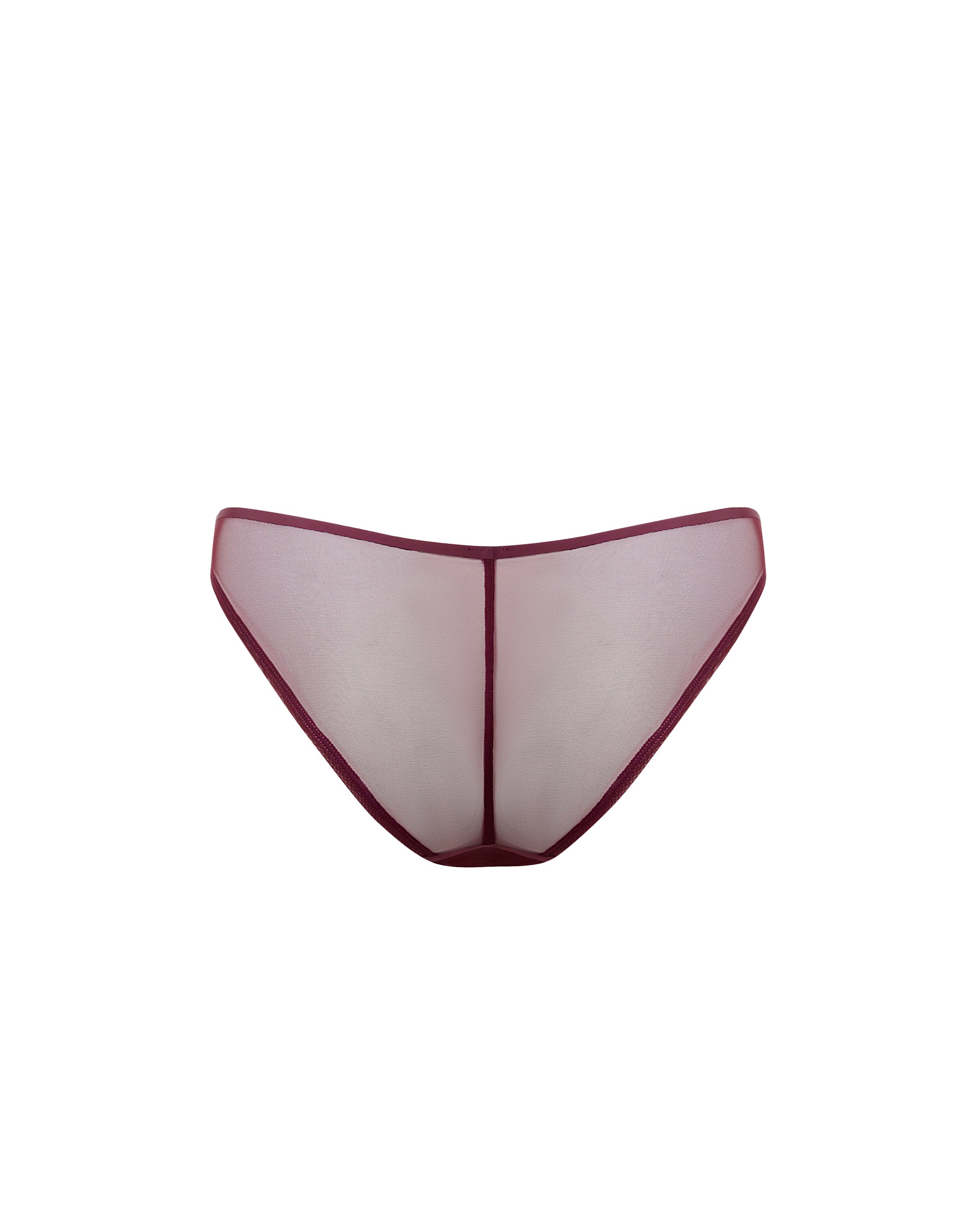 Naomi Slip in Mesh Ciliegia - Image 6